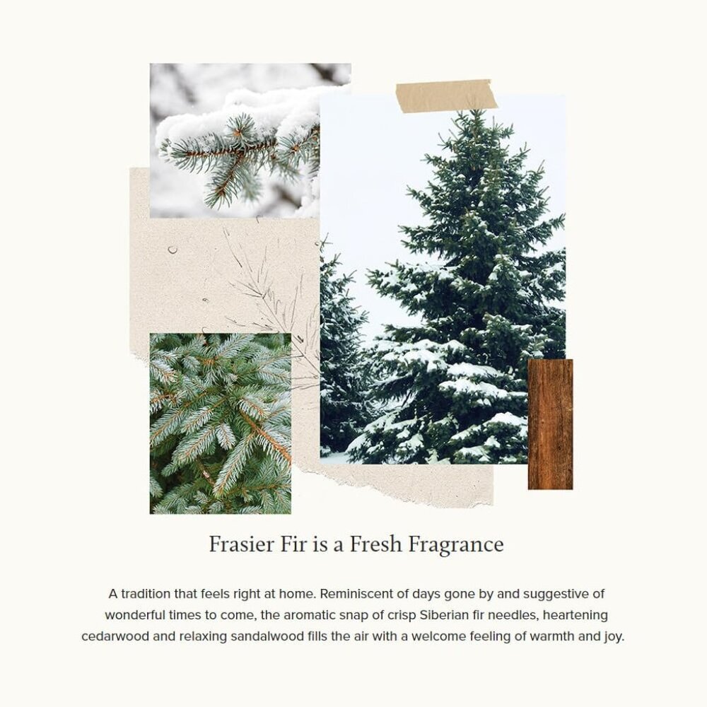 Frasier Fir Reed Diffuser Set – Includes Reeds, Fragrance Oil, and Frosted Glass - Picture 3 of 6